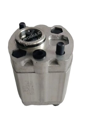 TRYY齿轮泵CBT1-F202.1 F201.2 CBFT1-F206.8 F205.8举升机油泵