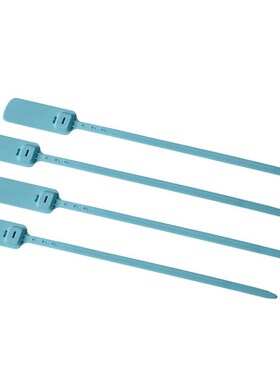 上柯集装箱封签扎带i尼龙标牌封条GL250-B25*63.5mm+250mm(蓝色10