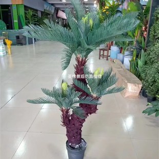 仿真苏铁树异型苏铁热带雨林造景C仿生假绿植盆景铁树叶假铁树摆