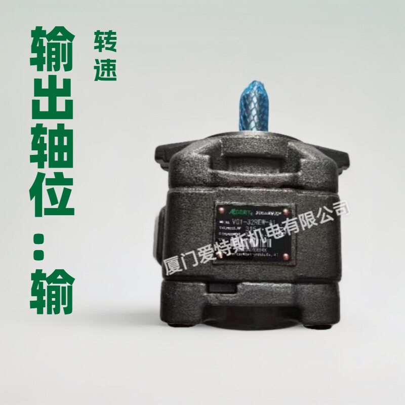 厂家直销内啮合齿轮泵 VG1-63REW-A1 VG1-50REW-A1折弯机伺服油泵