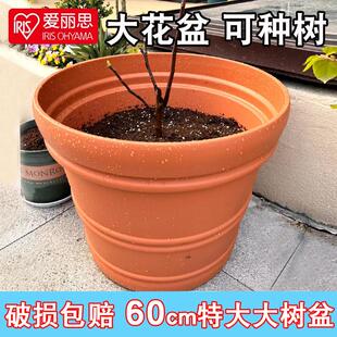 爱丽思种树大花盆爱丽丝塑料加厚仿陶瓷大口径庭院特大号种树花盆