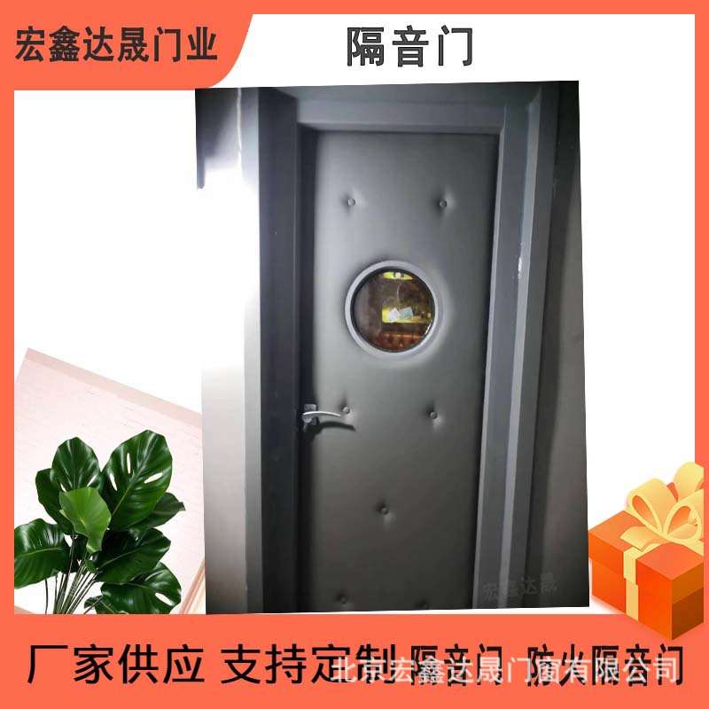 厂家供应天津艺术钢质隔音门 音乐教室隔音门 隔音静音门