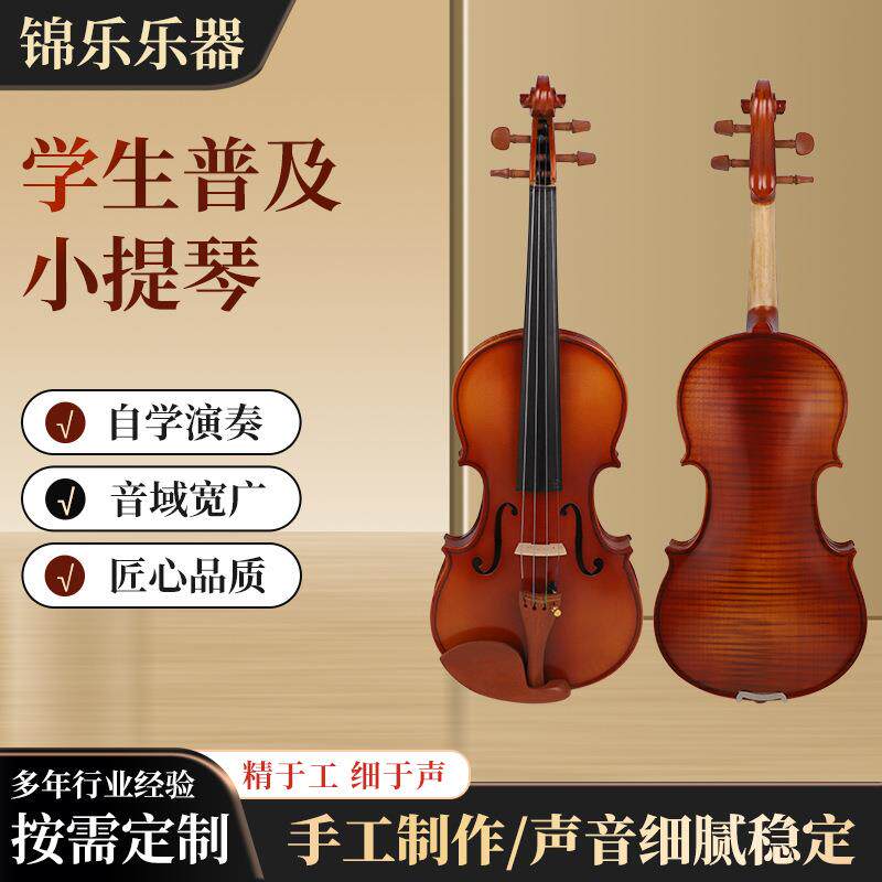 学生普及小提琴儿童初学者成人演奏实木小提琴4/41/8普及小提琴