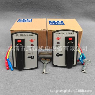 精益电器户内高压电磁锁DSN-ECM/Y户内高压柜电控锁门锁DSN-ECM/Z