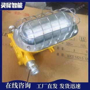工厂直发煤矿用支架灯充足DGC35/127L(A)隔爆兼本安型巷道灯
