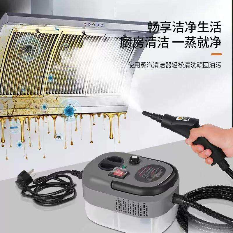 110V高温蒸汽清洁机杀菌消毒蒸汽机厨房油烟蒸汽清洗机