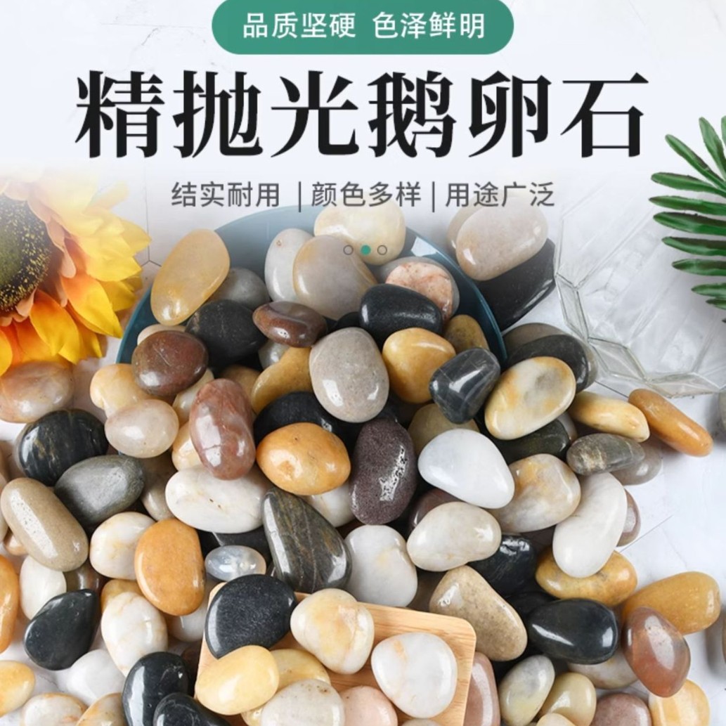 花园路面水培花盆庭院小石头天然鹅卵石地抛光鱼缸造景抛光精品