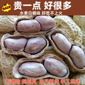 新货龙岩特产水煮白晒咸干花生蒜香五香多味带壳花生米坚果炒货零