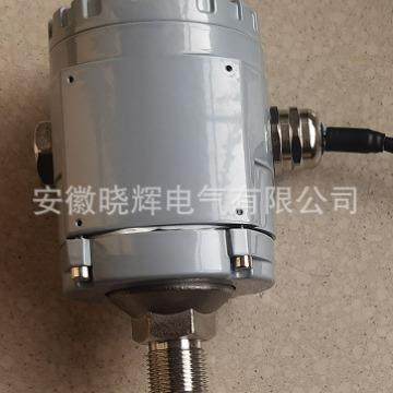 振动变送器XZD-YB一体化振动变送器