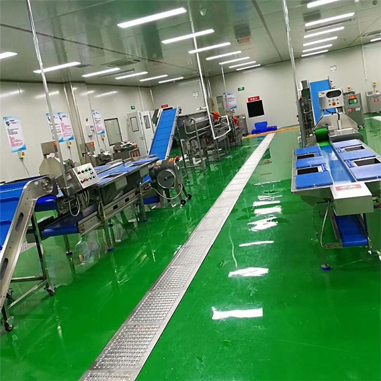 韭菜清洗加工机器西蓝花毛辊清洗机菠菜净菜清洗设备源头厂家图片