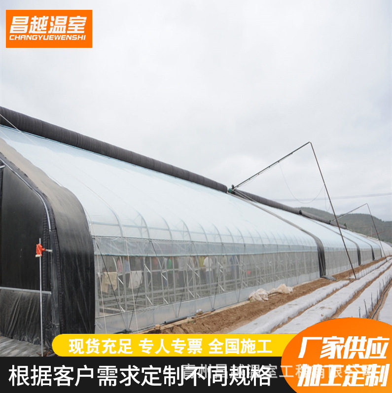 大棚新型简单实用智能半椭圆形日光温室大棚菊花花卉种植施工快捷