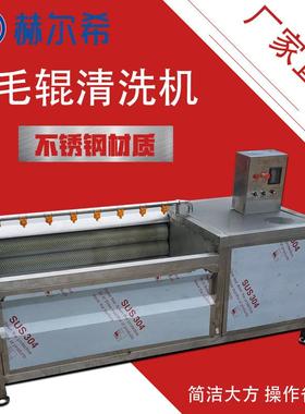 大型毛棍清洗机莲藕毛棍去皮清洗机果蔬毛刷清洗去皮机