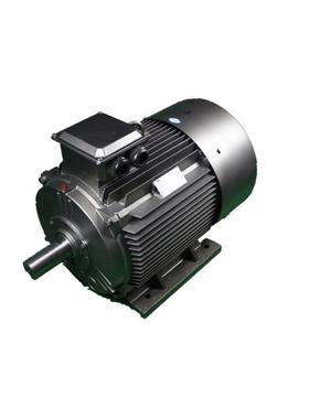 鸿泰一级能效电机TCYP5-160M-4t11KWt380V安装维修方便型号齐