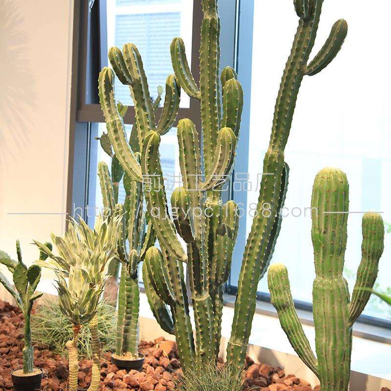大型仙人柱室内落地橱窗摆件沙漠仿真绿植仙人掌植物景观造景装饰