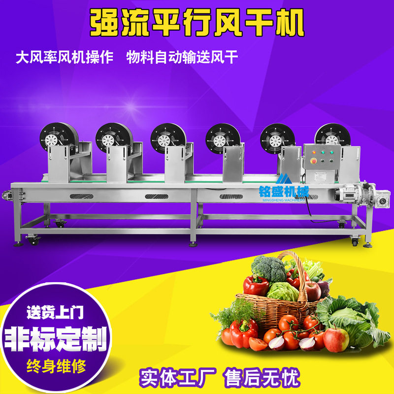 新品莱芜大姜密轮风干线