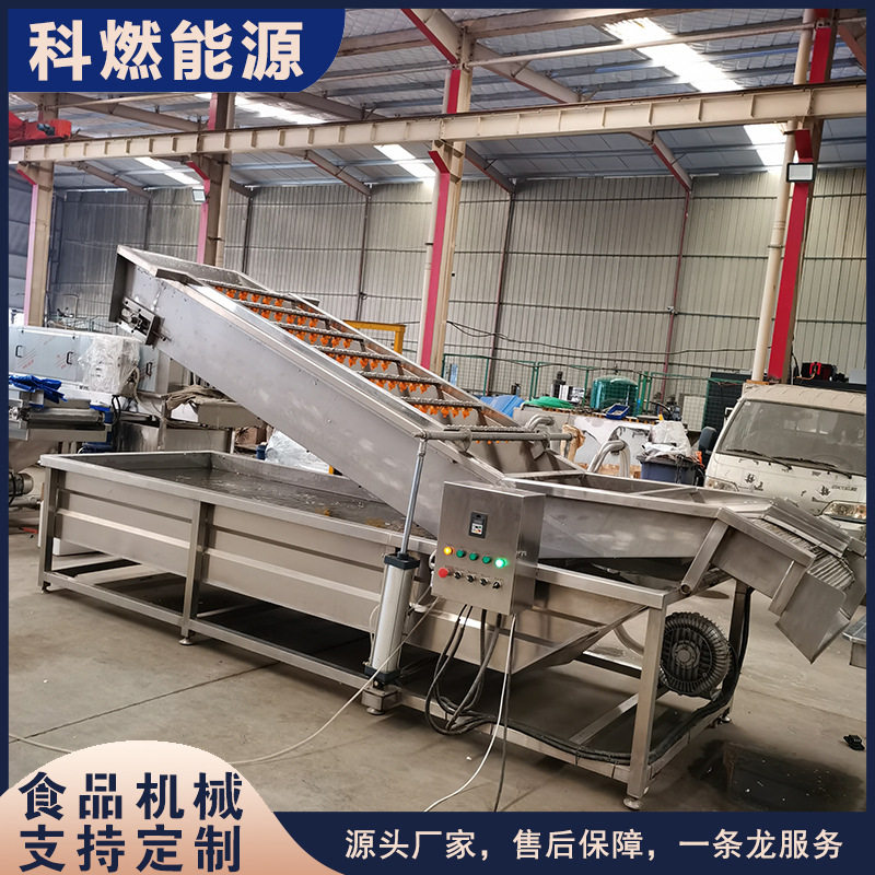 大型毛豆气泡清洗机海鲜类多功能净菜加工设备不锈钢经久耐用