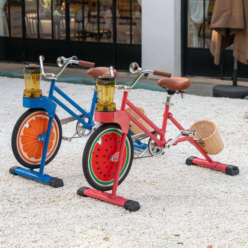 EXI儿童搅拌机自行车固定式商业人力脚踏橙汁搅拌机冰沙自行车
