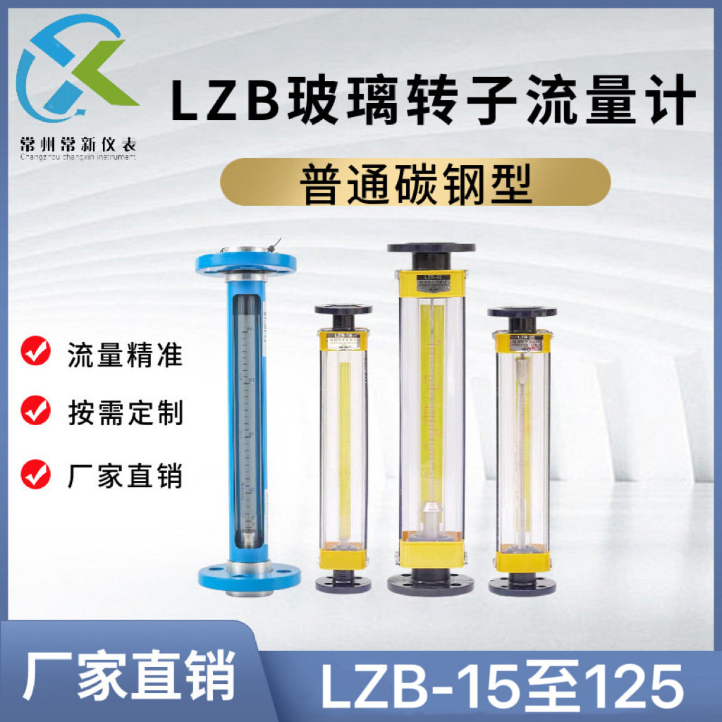 常州常新LZB-100玻璃转子流量计气体液体浮子水流量表大流量热式