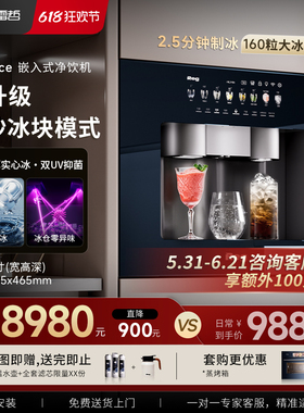 Reg雷哲V400ice嵌入式直饮机净水器饮水机制冰块冰沙家用净饮机