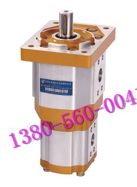 SAIYUAN f合肥赛源液压齿轮泵CBQT-F525/F416-AFPL/CFHL齿轮双联