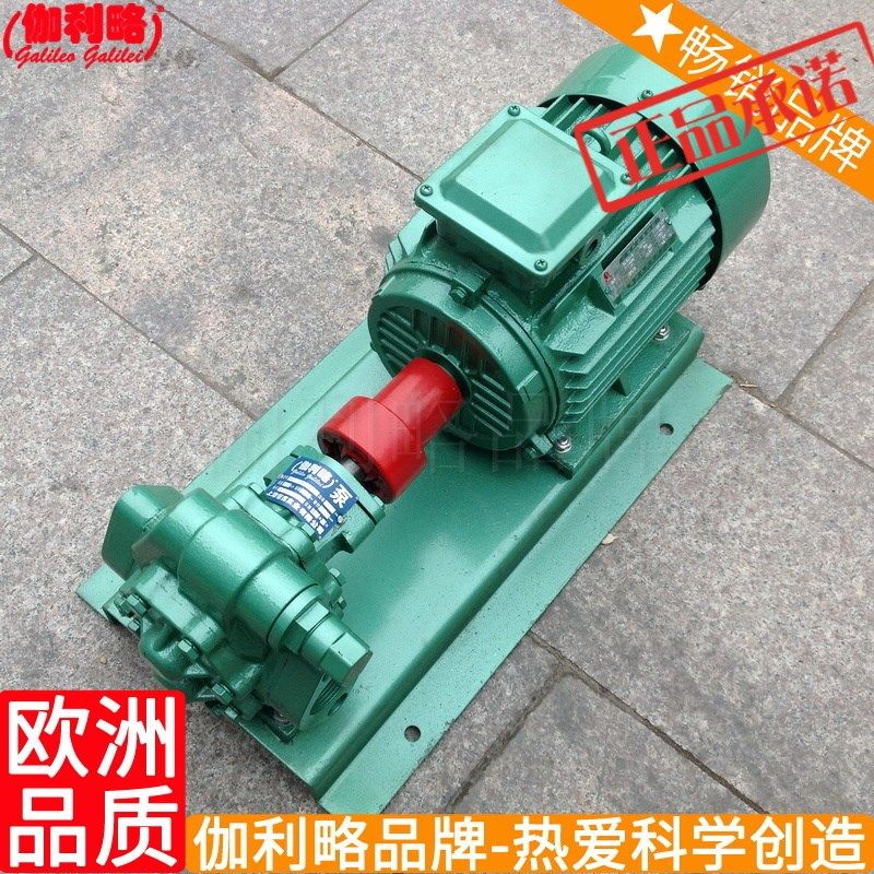 电动高压油泵 2cg高温齿轮泵 t油研油泵 鲁转子泵Galileo Galilei