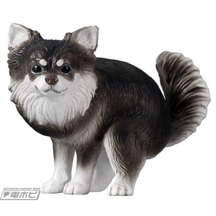 友趣预售     拉便便的小狗2弹 蹲拉犬 博美金毛犬