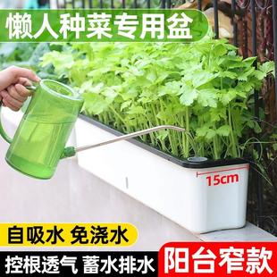 家用阳台种花盆长方形专用箱自吸水懒人种花盆自动吸塑料加长客厅