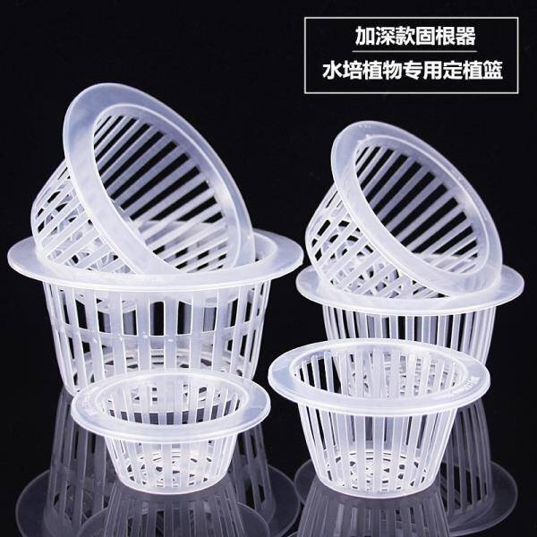 水培花盆内篮塑料水养植物控根定植篮种植篮绿萝吊兰器皿圆形
