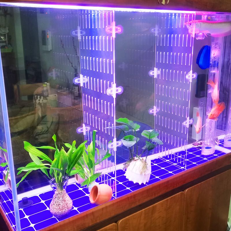 水族箱透明亚克力隔断挡板鱼缸隔离板斗鱼分隔盖板防护网片