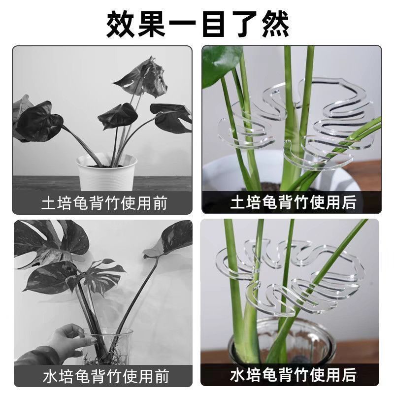 绿植防倒伏支撑神器龟背竹支撑杆花架