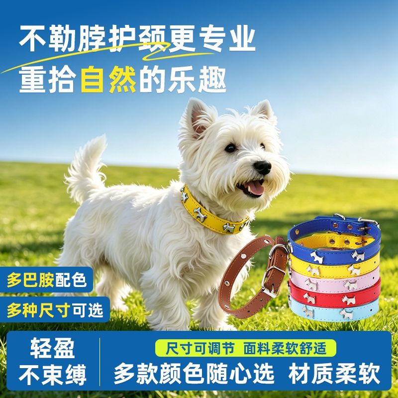 中小型犬pu皮狗狗项圈可调节多色小狗颈圈宠物配饰脖圈