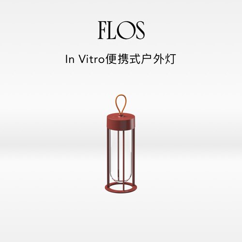 FLOSInVitro便携式手提灯