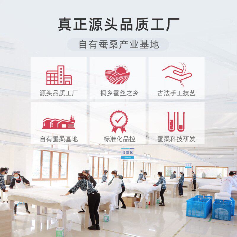 家纺店专用双宫桑蚕丝光胎蚕丝原料半成品长丝裸丝胎被芯定制