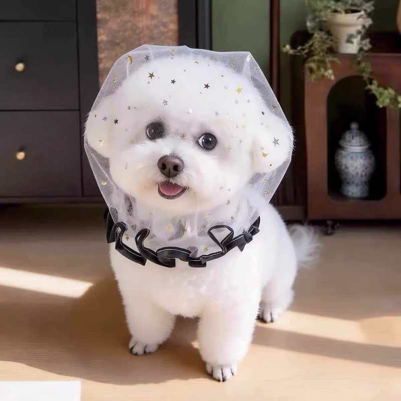 伊丽莎白圈狗狗猫圈防舔咬脖套宠物狗绝育防护耻辱圈可调节头套