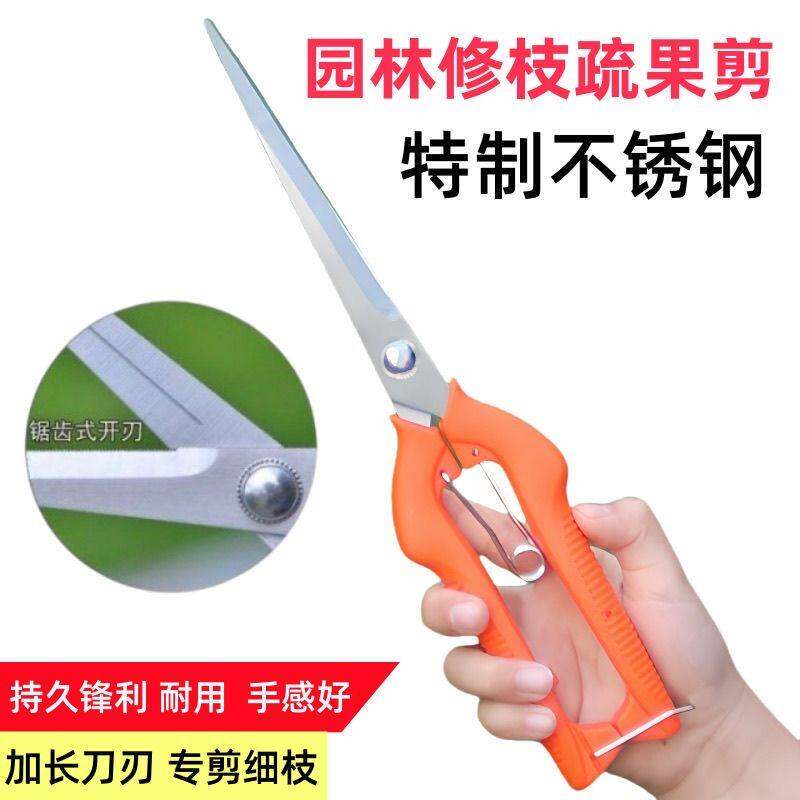 专业果蔬剪稀果葡萄园艺疏花家用修枝剪柑橘花椒采摘摘果剪刀专用