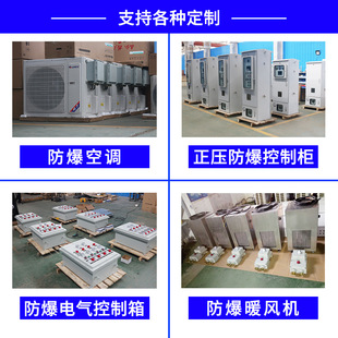 粉尘防爆控制箱BXK 适用于化工石油冶金防爆配电柜盛通防爆