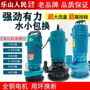 潜水泵220v高扬程家用小型排污水泵抽粪泥浆抽水机农用灌溉抽水泵