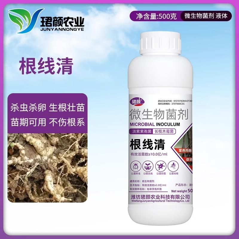 根结线虫专用药杀虫杀卵根线虫根瘤作物通用底肥微生物菌剂根线清