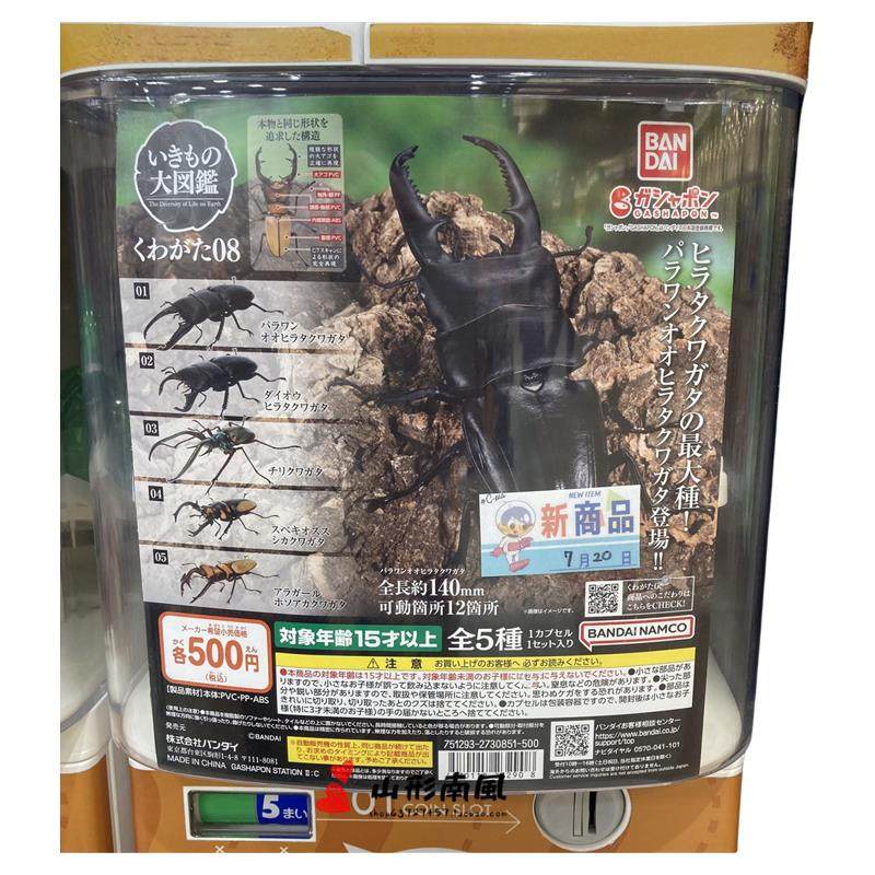 预售#    生物大图鉴 甲虫 06 08 乌干达花金龟 智利长牙锹  扭蛋,模玩/动漫/周边/娃圈三坑/桌游,动漫挂件/文具,淘宝优惠券,粉丝福利购,淘宝优惠卷