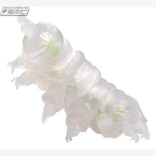 预售# 扭蛋原色图鉴动物生物 番外篇 缓步动物门