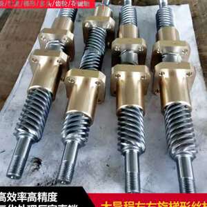 速发大导程左右旋梯形丝杆304不锈钢丝杠氮化处理螺杆特殊定做1根