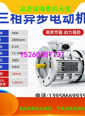 极速新品三相交流电动机YS立式370750153W铝壳异步2S800转B14高速