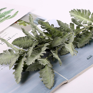 饰假 33叶植毛银叶W菊家居装 极速厂家厂家仿真植物85cm 植毛工艺