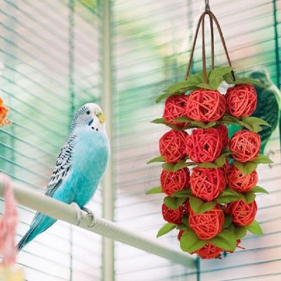 极速Rattan Balls Decorative ParrotD Wicker Ball Birds Chewin