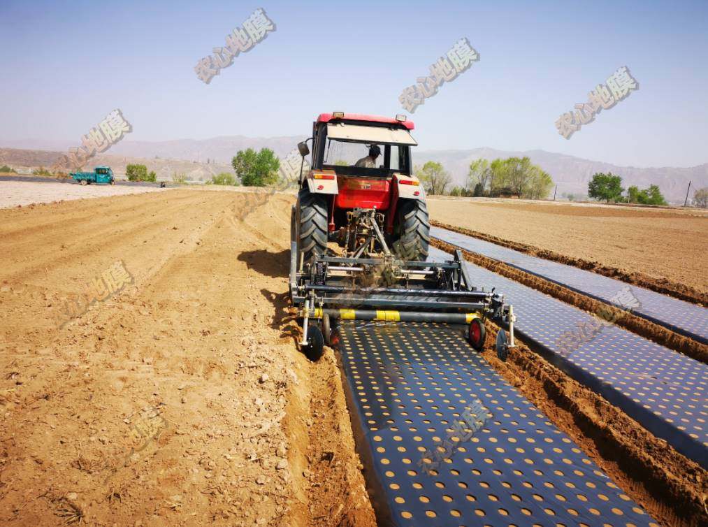 极速打孔地膜黑膜pe农用薄膜药材蔬菜防草除草防虫新款Z进口银黑,农机/农具/农膜,农用薄膜,淘宝优惠券,粉丝福利购,淘宝优惠卷