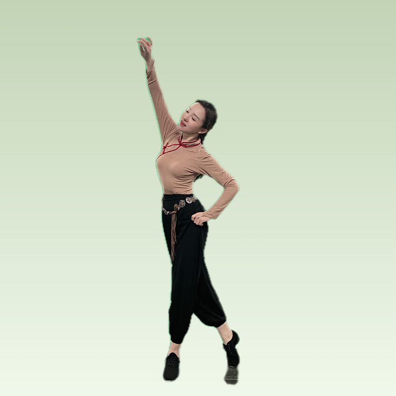 极速网纱印花舞蹈服现代舞古典舞长袖中袖练功Q服系带收腰显瘦上