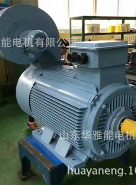 清江YXKK400-8-250KW电机|湘潭YXKK400-8-250KW电机替代方案无忧