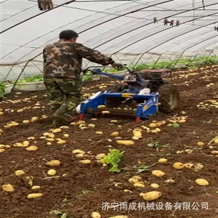 土豆红薯收获机 手扶拖拉机带动红薯收获机 大蒜起获机