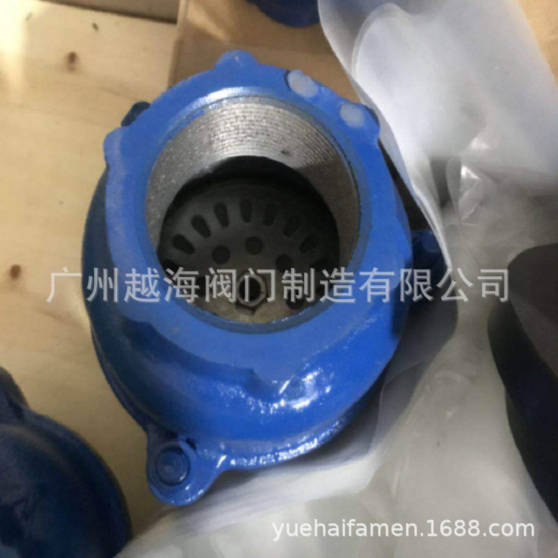 纽普兰/克莱德单向阀 威特VA619不锈钢气体单向止回阀WITT单向阀