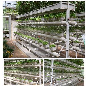 水管创意种菜架家庭小菜园阳台菜架种植机土栽培管道种植 方形斗式
